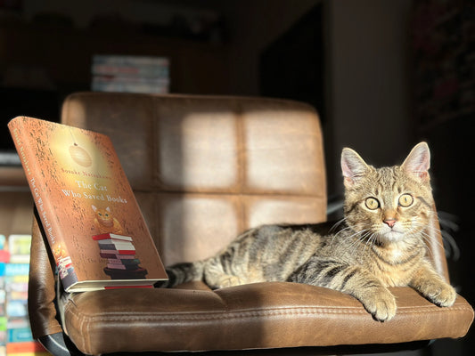 Book Review of Sōsuke Natsukawa's "The Cat Who Saved Books"