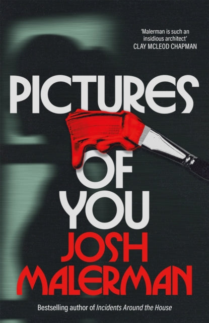 Pictures of You (ISBN: 9781035073443)