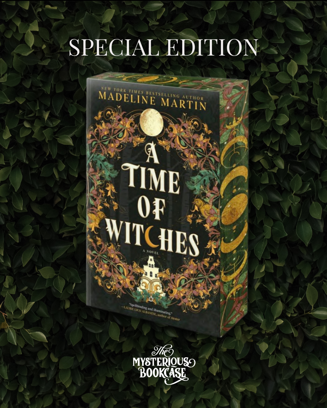 A Time of Witches (Special Edition Paperback) PRE-ORDER