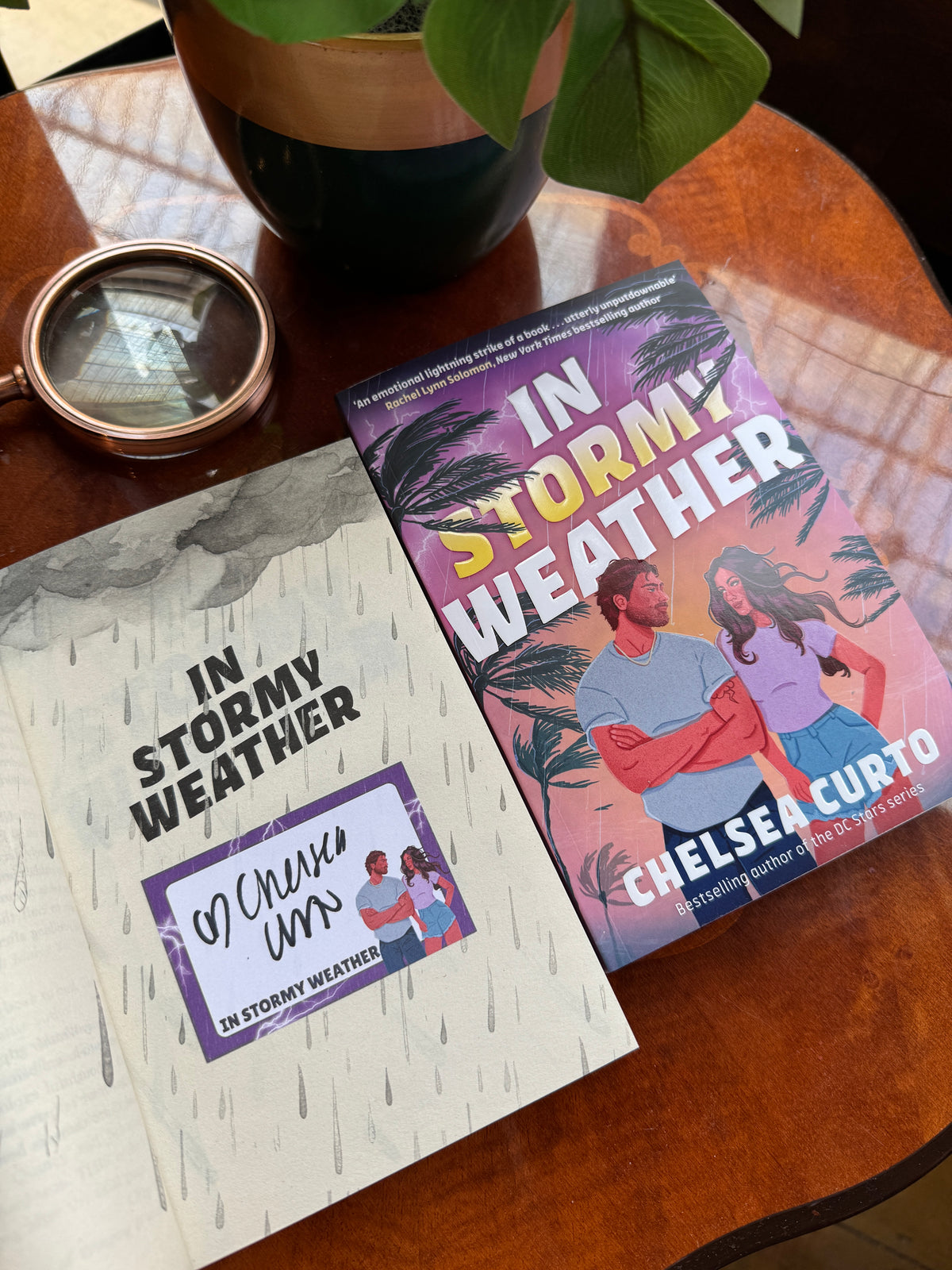 Happily Ever After (Romance Book Club) - August 2026: In Stormy Weather