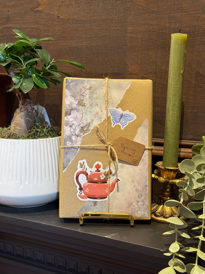 SPRING EDITION Blind Date With a Book