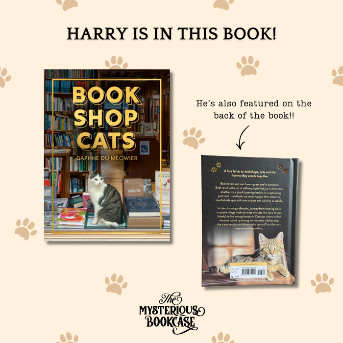 Bookshop Cats