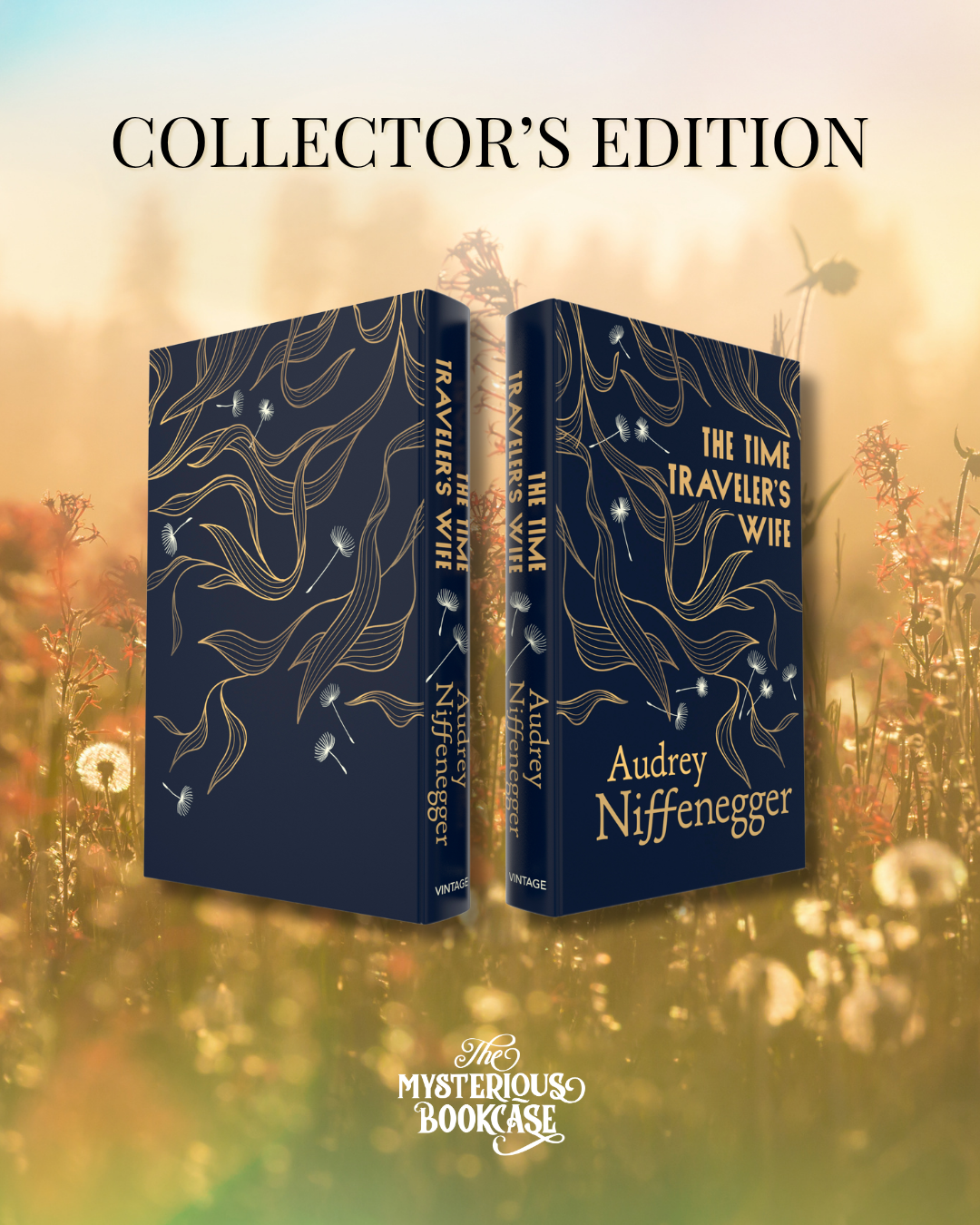 The Time Traveler's Wife (Collector's Edition) PRE-ORDER