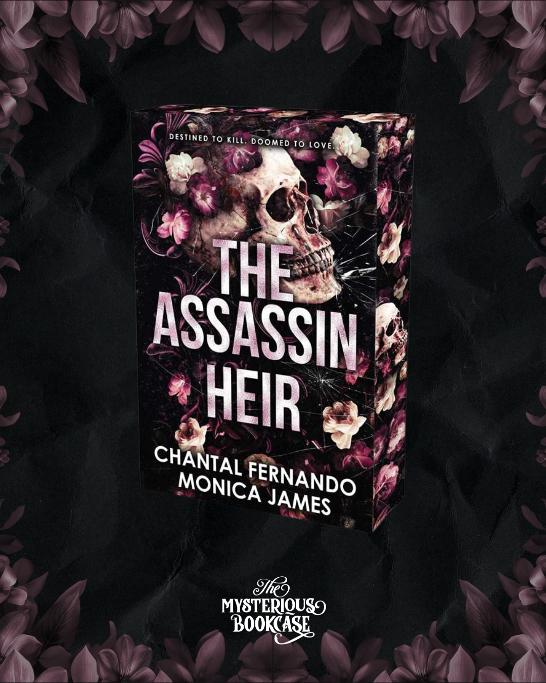 The Assassin Heir PRE-ORDER