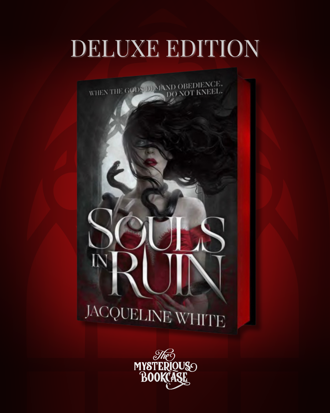 Souls in Ruin (Deluxe Edition) PRE-ORDER